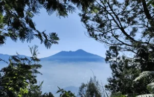 gunung panderman - Tips dan Panduan Lengkap Mendaki Gunung Panderman untuk Pemula