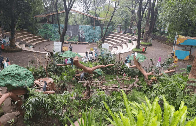 Liburan Seru Menjelajahi Wisata Safari Malang