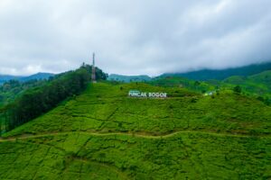 9 Tempat Wisata di Bogor yang Murah untuk Short Escape Akhir Pekan