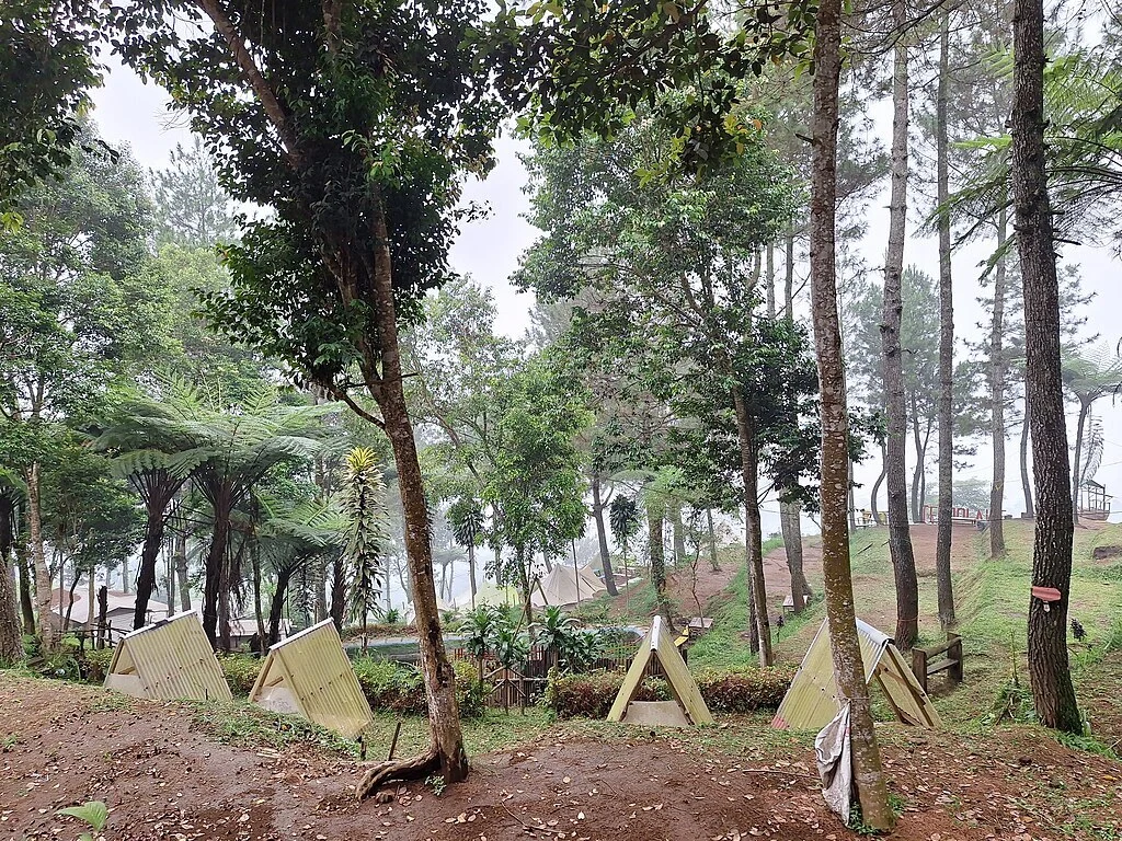 Eksplor Obyek Daya Tarik Wisata Alam Tenjo Laut, Destinasi Hits Anti Mainstream