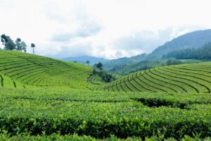 10 Destinasi Wisata di Jawa Timur yang Wajib Kamu Kunjungi Minimal Sekali Seumur Hidup