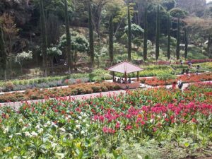 5 Tempat Piknik Keluarga di Malang dengan Suasana Sejuk dan Asri