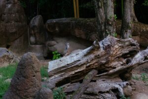5 Tempat Main Anak di Malang yang Bikin Liburan Keluarga Lebih Seru
