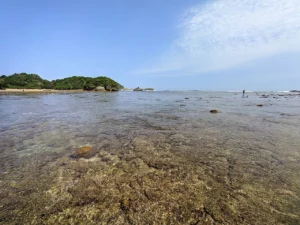 5 Pantai Tersembunyi Malang dengan Panorama Keren untuk Foto Instagramable