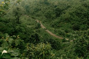 Menikmati Alam Lewat 5 Jalur Trekking Ringan di Malang