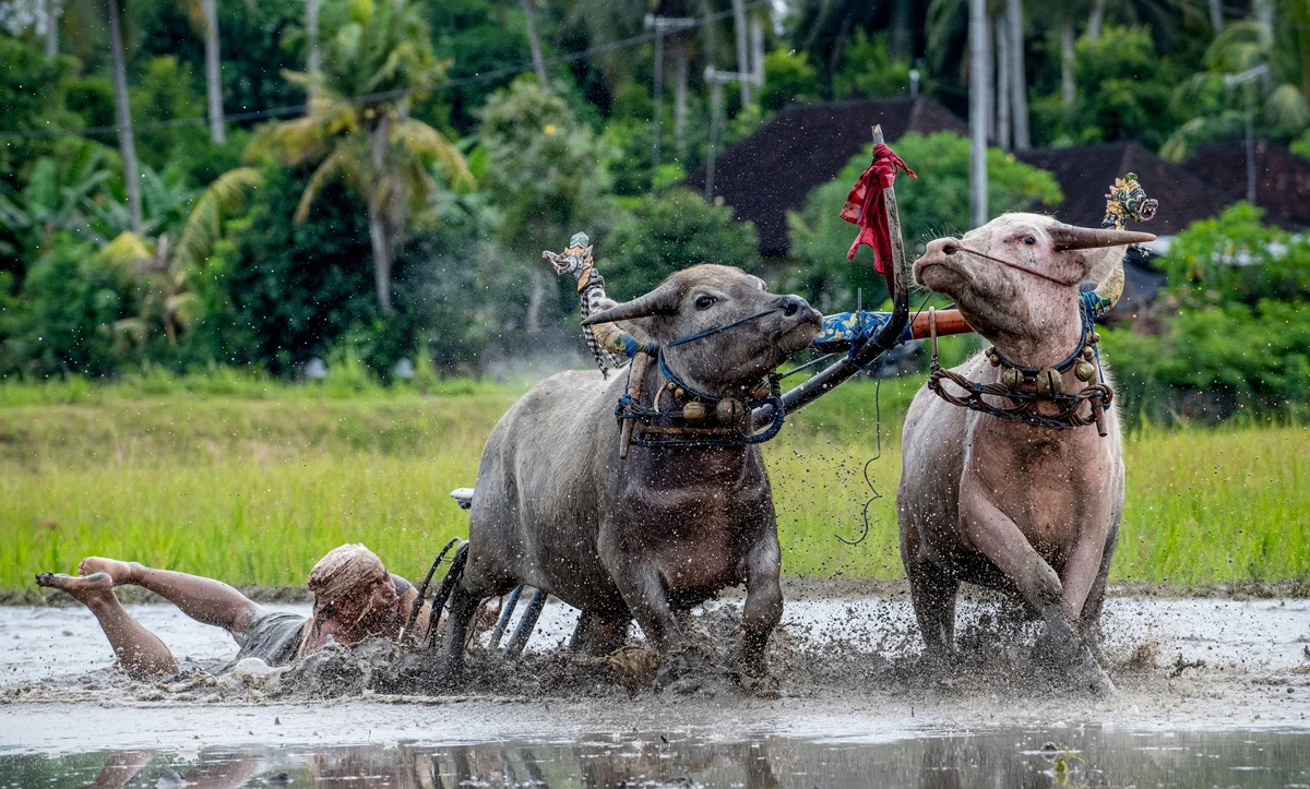 What Is The Importance Of Office Furniture In Company Workplace?