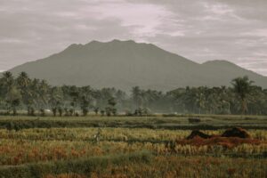 8 Tips Aman Solo Traveling di Jawa Timur, Jadi Tetap Seru