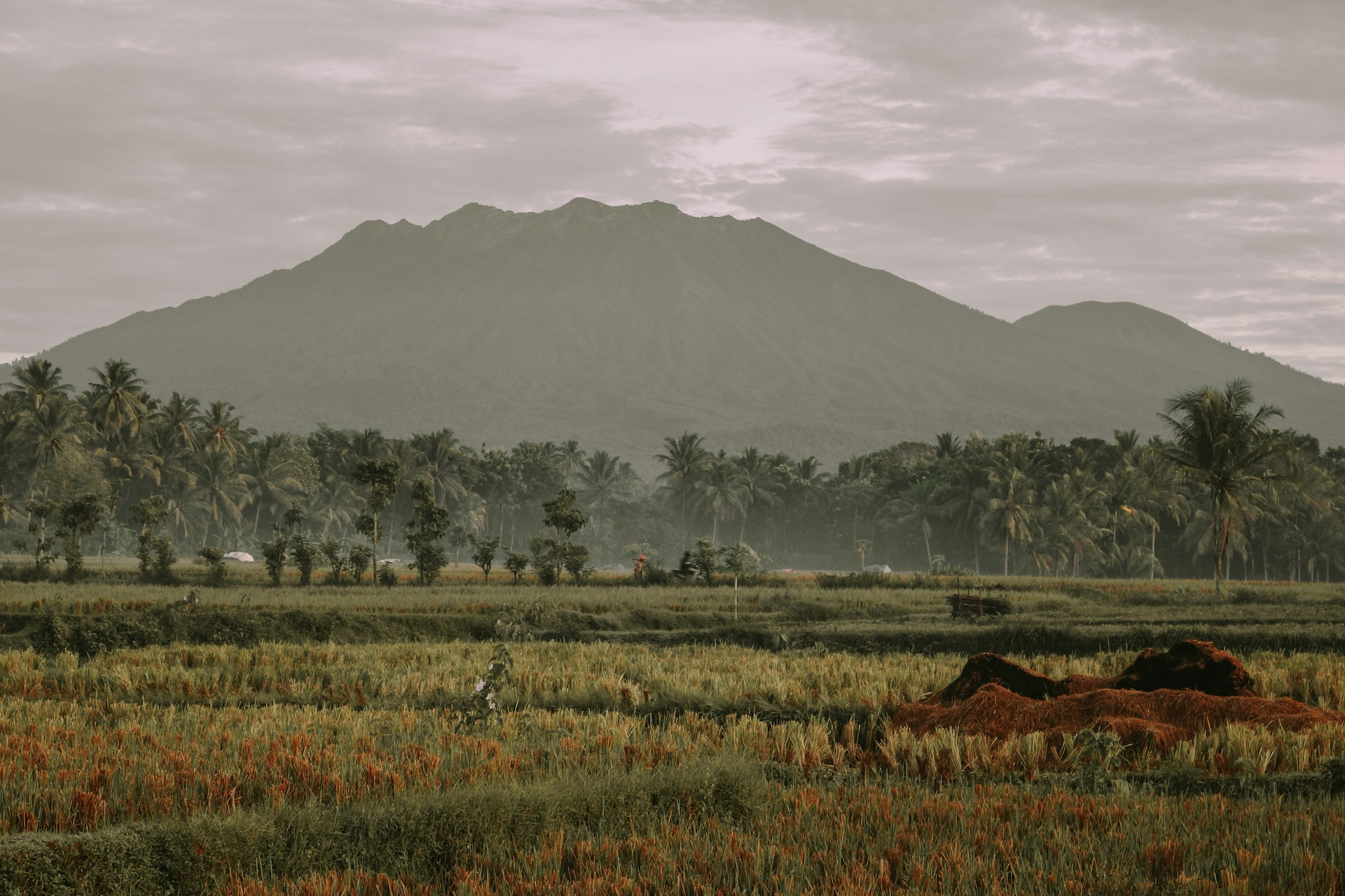 8 Tips Aman Solo Traveling di Jawa Timur, Jadi Tetap Seru