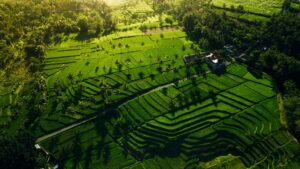 Travel Malang Surabaya Murah dan Nyaman, Solusi Perjalanan Tanpa Ribet