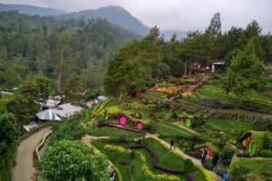 Coban Rais: Wisata Air Terjun dan Outbound Favorit di Malang