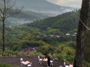 Goa Pinus Malang: Wisata Alam dan Instagramable Favorit Liburan di Batu