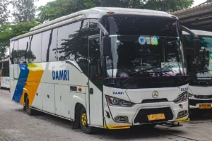 Bus Damri Bandara Juanda vs Travel Door-to-Door, Mana Lebih Praktis?